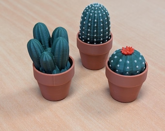 3D Printed Cactus Fidget Clickers | Trio of Sensory Desk Toys for Stress Relief & Focus