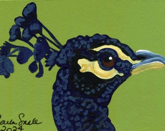 Peinture miniature à la gouache originale ACEO ATC/paon/oiseau/portrait animalier Art-Carla Smale