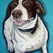 see more listings in the custom pet portraits section
