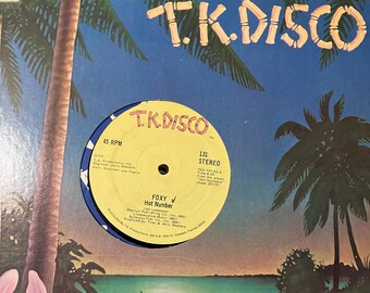 Foxy Hot Number / Call It Love / Give Me A Break Vinile... TKD-131.... Vinile da discoteca classico...