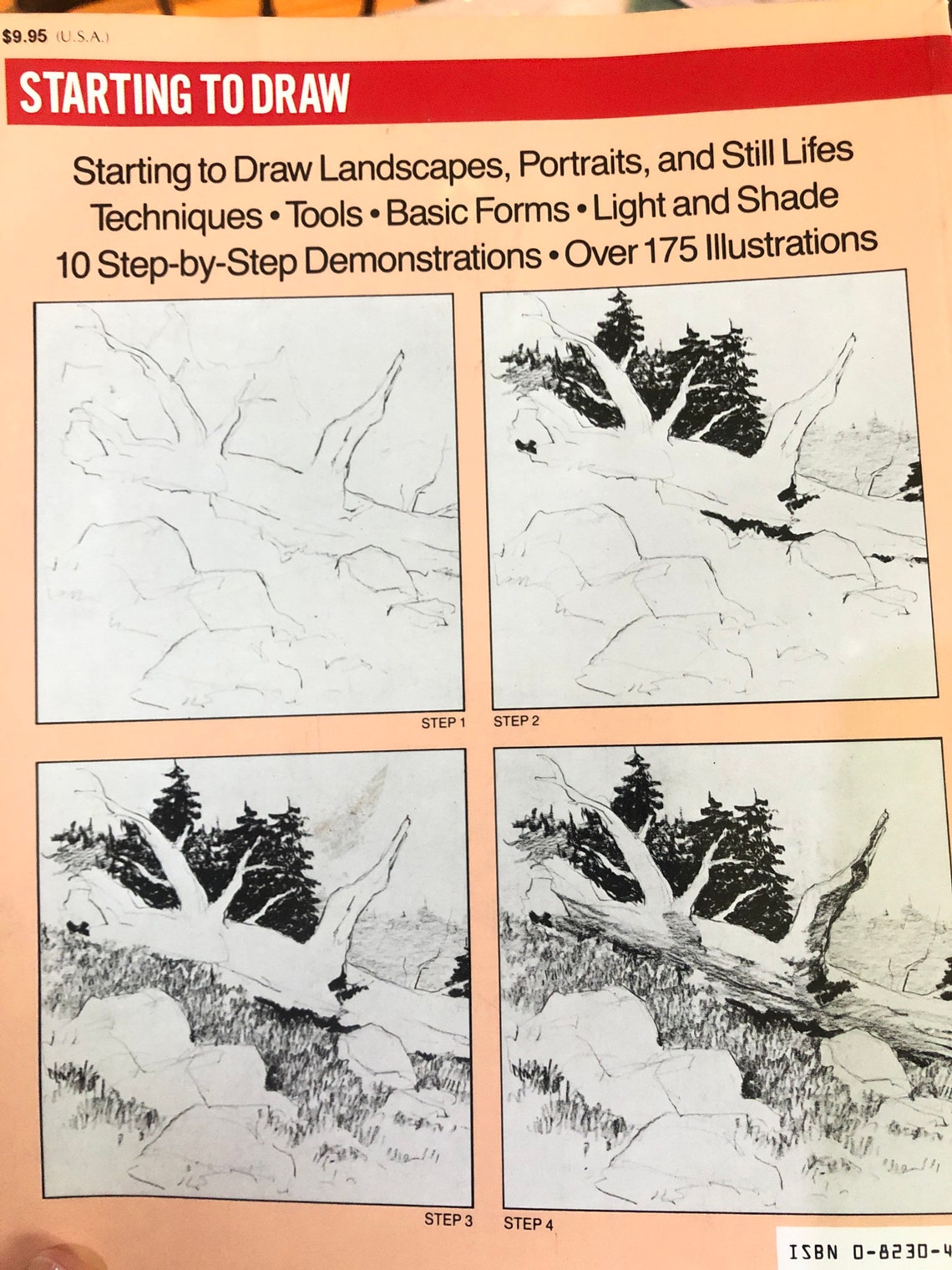 Starting to Draw A Stepbystep Art Instruction Book by Wendon Etsy