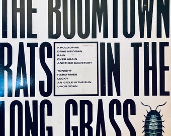 Boom Town Rats "Boom Town Rats in The Long Grass" Vinyl Album....Boom Town Rats Vinyl  LP....80s New Wave Rock Music Album...Vinyl LP