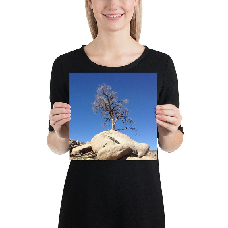 Joshua Tree Photo Print 10x10, 12x12, 14x14, 16x16, 18x18 Unframed 10×10 inches