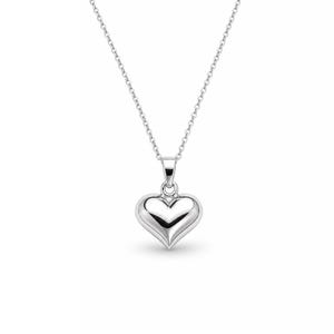May include: A silver-colored necklace with a heart-shaped pendant. The pendant is a solid, rounded heart with a shiny, reflective surface. The chain is delicate and appears to be made of small, linked pieces. The background is plain white.
