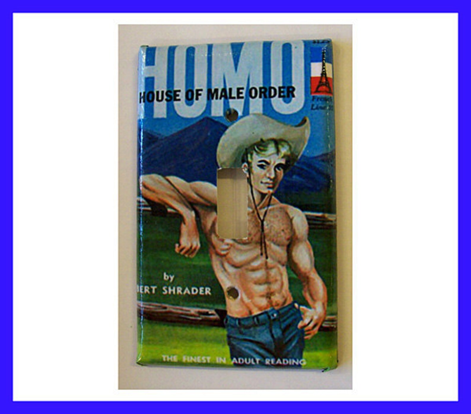 Gay pulp switch plate retro vintage 1950s pulp fiction Etsy