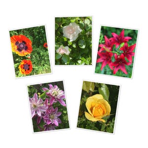 Garten-Grußkarten (5er-Pack) - Blumenbriefpapier-Set für Korrespondenz, Geschenk für Naturliebhaber, botanisches Grußkartenpaket, alle Gelegenheit