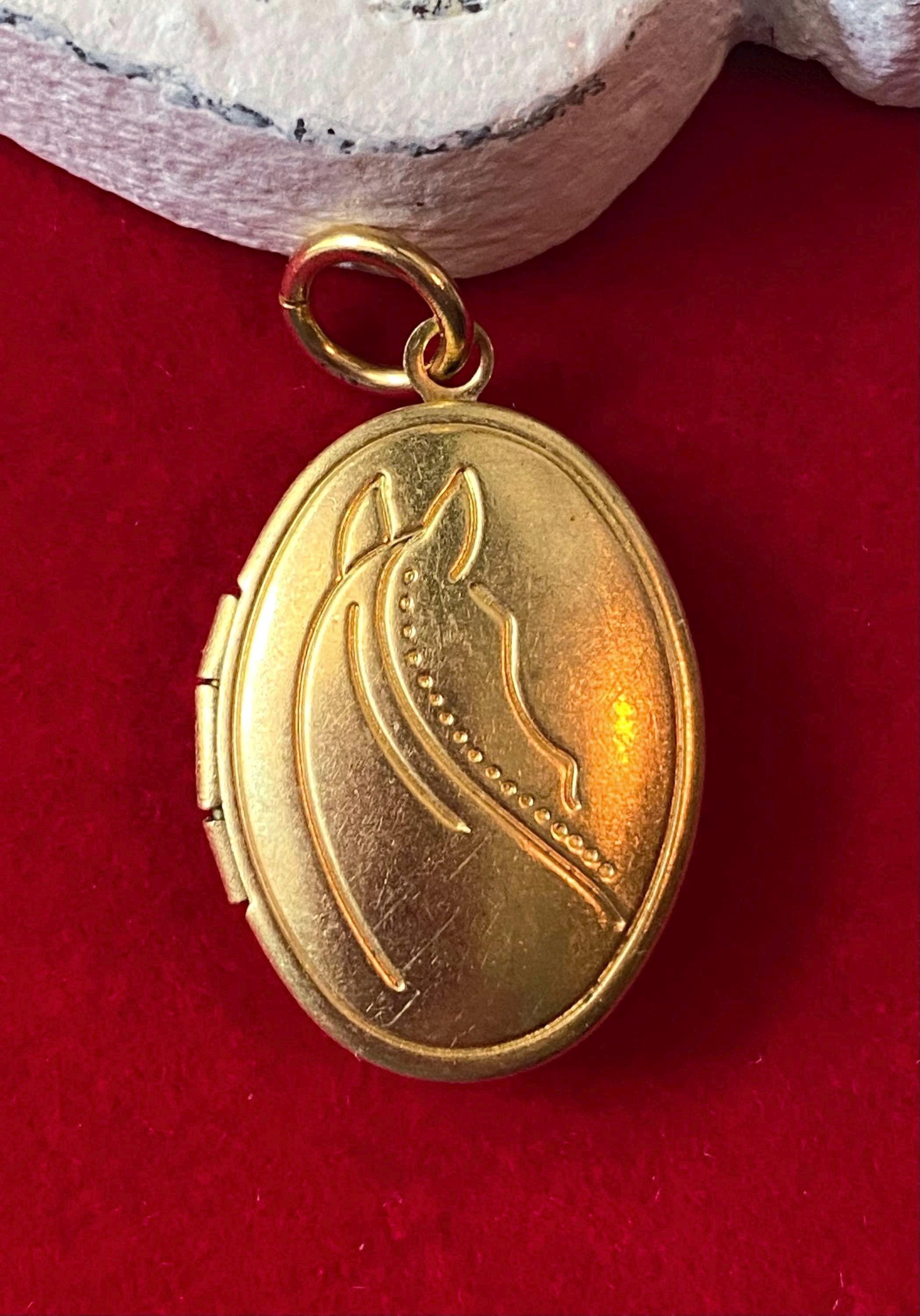Médaille en laiton de cheval - France