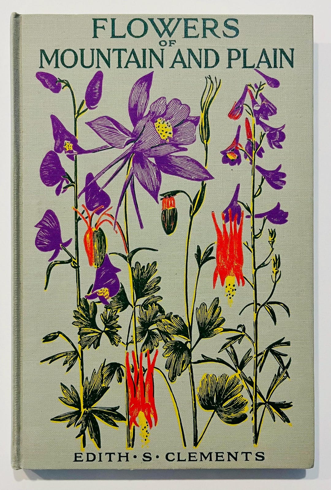 Vintage Antique Book 1949 Flowers of Mountain and Plain by Edith S ...