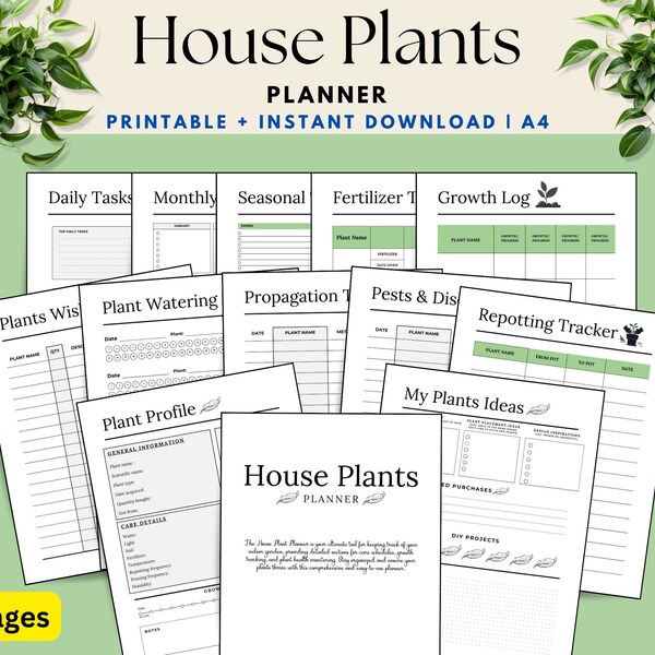 Indoor Plant - Etsy