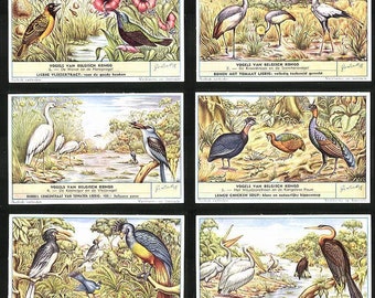 Liebig 1955   Chromolithograph Trade Cards Birds of the Congo   Set of Six  Collectors Set of 6 Birds of the Congo   by Liebig
