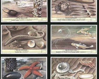 Liebig 1954  Chromolithograph Trade Cards Near the Breakwater    Set of Six  Collectors Set of 6  Near the Breakwater   by Liebig