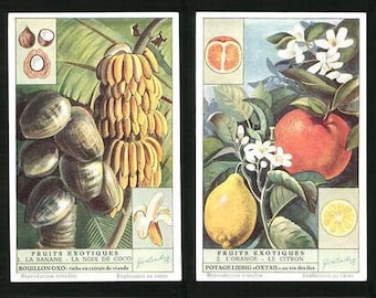 Liebig 1952   Chromolithograph Trade Cards Exotic Fruits   Set of Six  Collectors Set of 6 Exotic Fruits  by Liebig