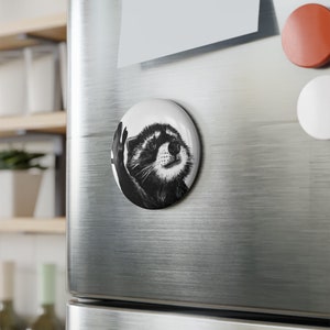 Pedro Pedro Raccoon! Round Button Magnet (1 & 10 pcs)