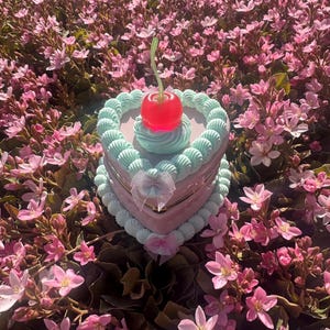 Joyero de pastel falso con forma de corazón en rosa y verde suave/ Joyero de pastel falso/ Joyero de pastel