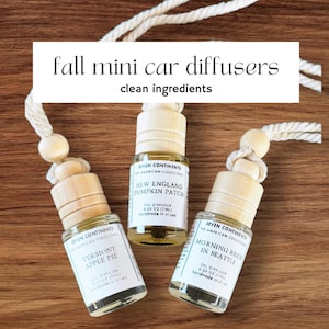 Fall Mini Car Diffusers – Travel-Inspired Hanging Air Fresheners | Autumn Scents for Cars & Small Spaces