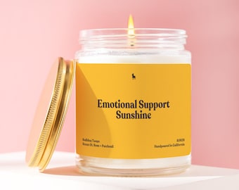 Cheer Up Candle Emotional Support Sunshine Gen Z Slang Gift for Anxiety Bestie Teen College Roommate Colorful Maximalist Dorm Decor B5628