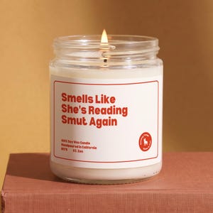 Funny Smut Reader Candle Gift for Her, Smut Gifts, Romance Reader Present for Best Friend, Book Group Gift, 9oz Soy Wax Candle B179 image 1