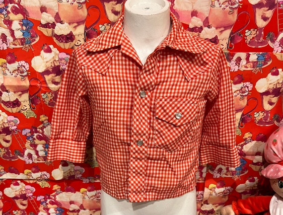 2T Red Gingham Snap Shirt - image 2