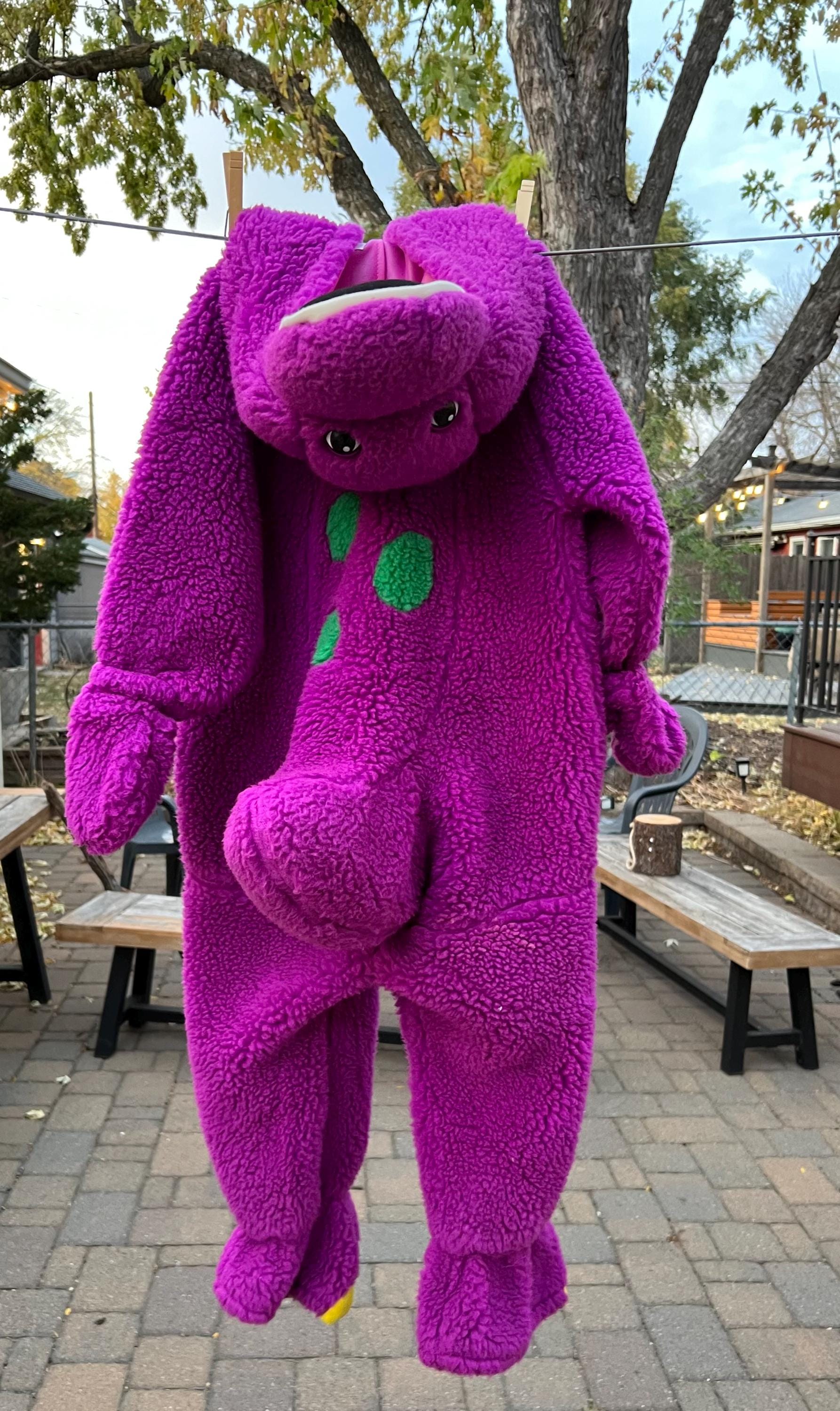 3/4T Barney Costume - Etsy