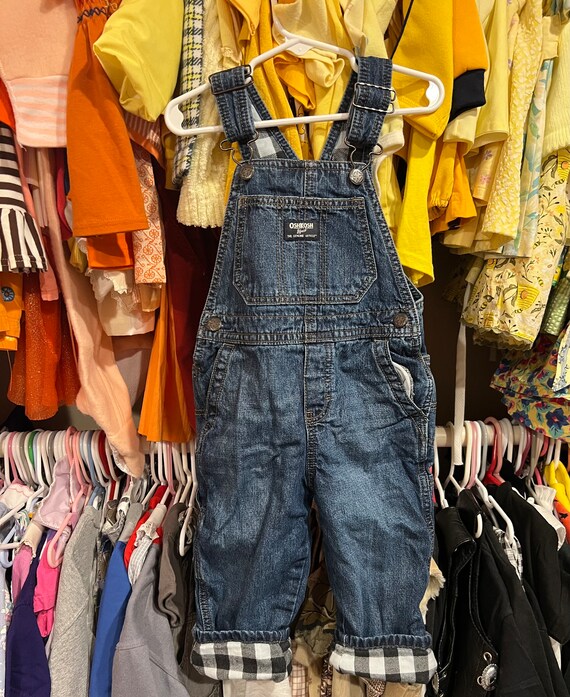 Lined overalls online