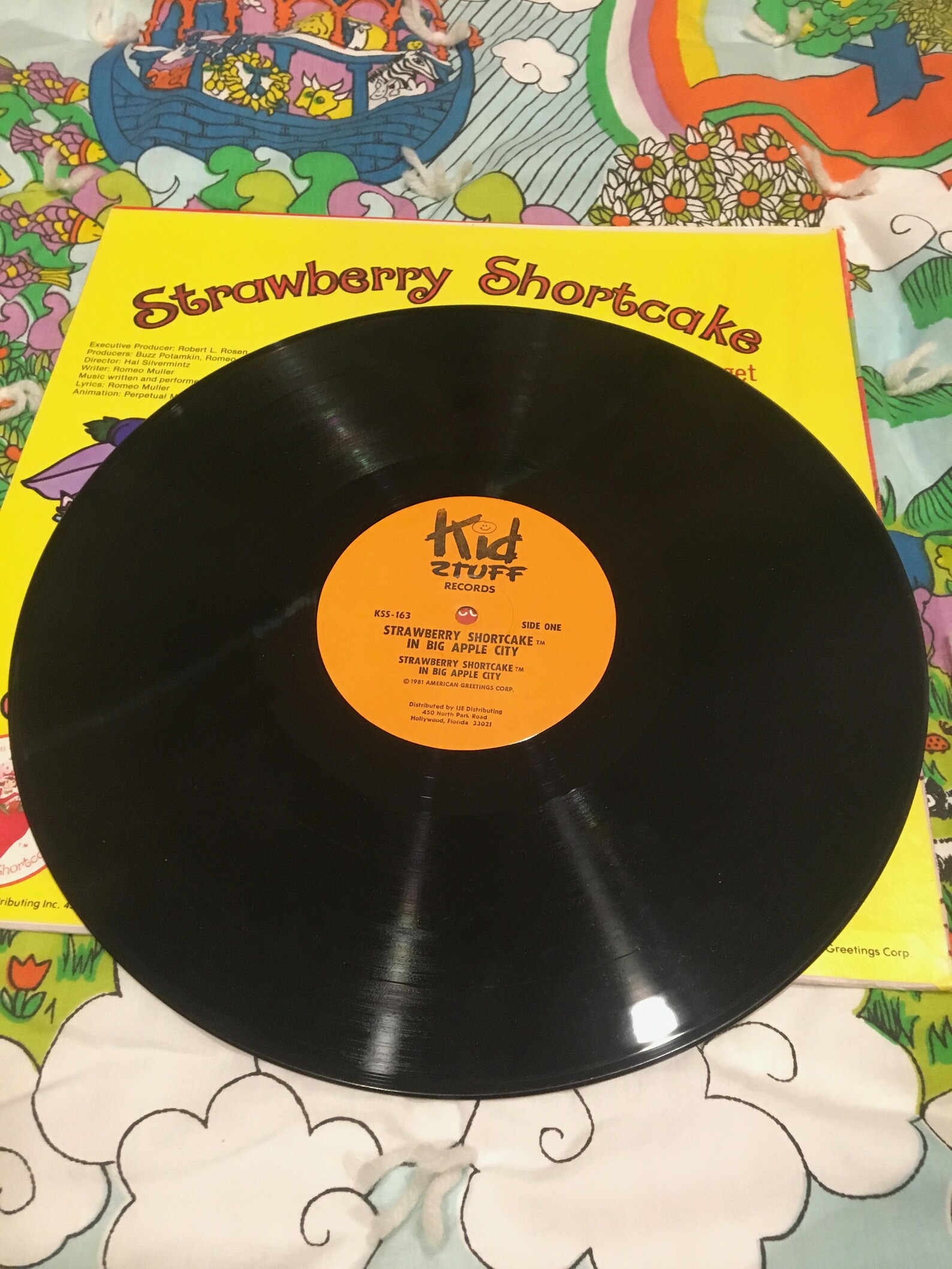 Strawberry Shortcake Record Etsy