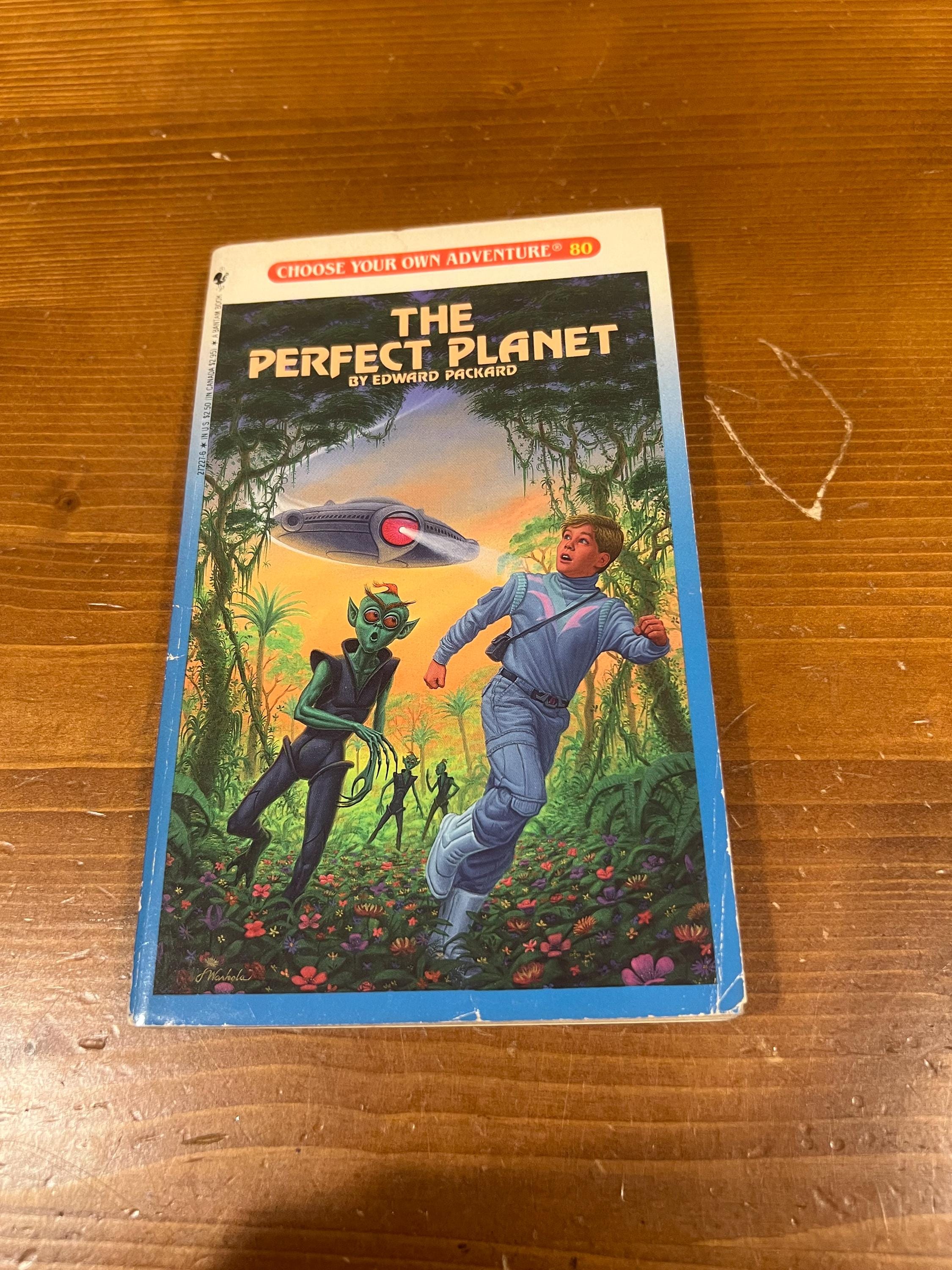 The Planet: 80s Choose Your Own Adventure Book - Etsy