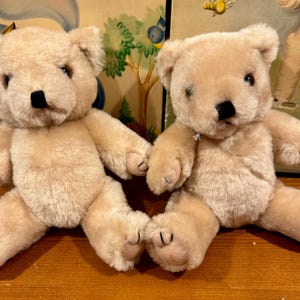 Puede incluir: Dos osos de peluche de color marrón claro sentados uno al lado del otro. Tienen ojos negros de botón, narices negras y garras cosidas en las patas. Los osos están sobre una superficie de madera. El fondo es una ilustración vintage.
