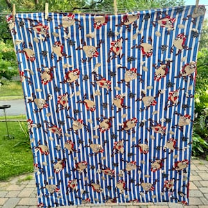 1990s Taz Blanket