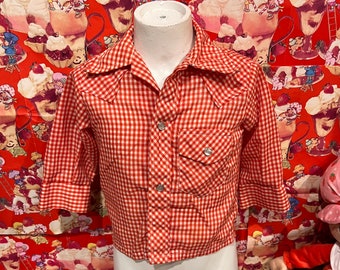 2T Red Gingham Snap Shirt