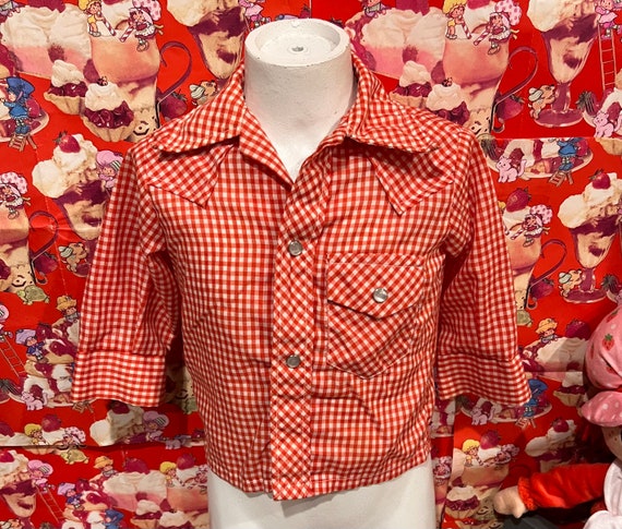 2T Red Gingham Snap Shirt - image 1
