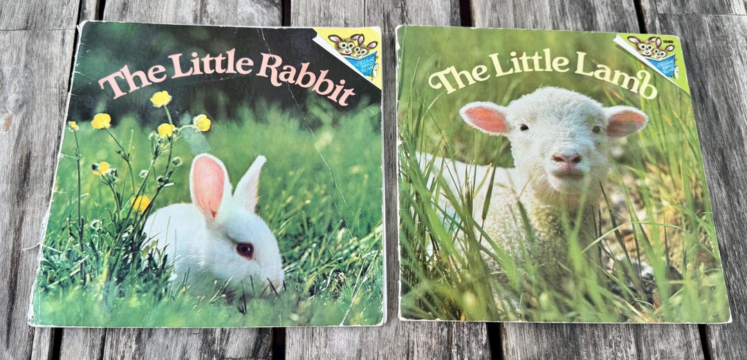 Lamb Baby Rabbit The Little Rabbit & the Little Lamb - Etsy