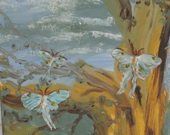 Original Painting - Luna Moths in a Tree -  12 x 12 inches - Blue