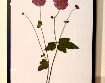 Pressed Flower Frame - Japanese Anemone II