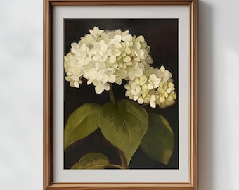 Vintage Cream Hydrangea Printable Wall Art | Farmhouse Style Floral Print | Instant Download Oil Painting | Botanical Cream, Green and Black