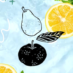 Juego de sellos de goma de naranjas y peras, sellos de frutas, sellos de hojas, sellos de cítricos, creación de tarjetas, scrapbooking, papelería DIY