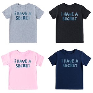 May include: Four short-sleeved t-shirts in gray, black, pink, and navy blue. Each shirt has the text "I HAVE A SECRET" in blue lettering. The shirts are made of a soft material and are suitable for casual wear.