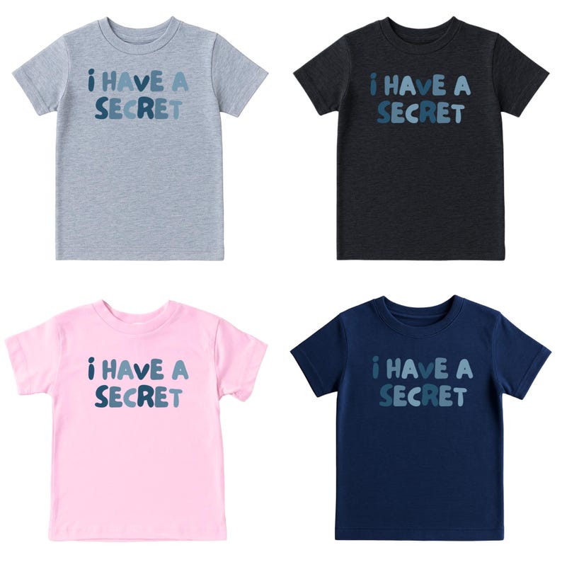May include: Four short-sleeved t-shirts in gray, black, pink, and navy blue. Each shirt has the text "I HAVE A SECRET" in blue lettering. The shirts are made of a soft material and are suitable for casual wear.