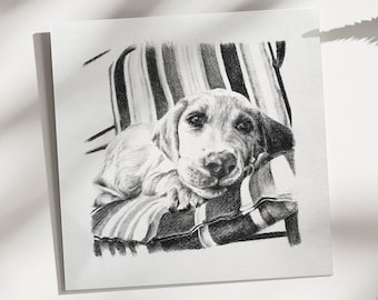 Custom Pet Portrait - Custom Hand Drawn Pets From Photo - Graphite or ...