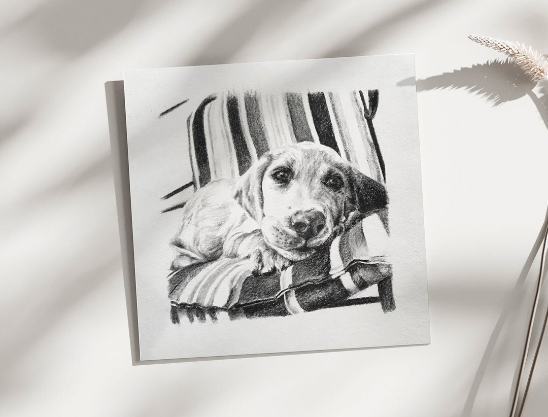 Custom Hand Drawn Pet Portrait in Charcoal and Graphite on Paper ...