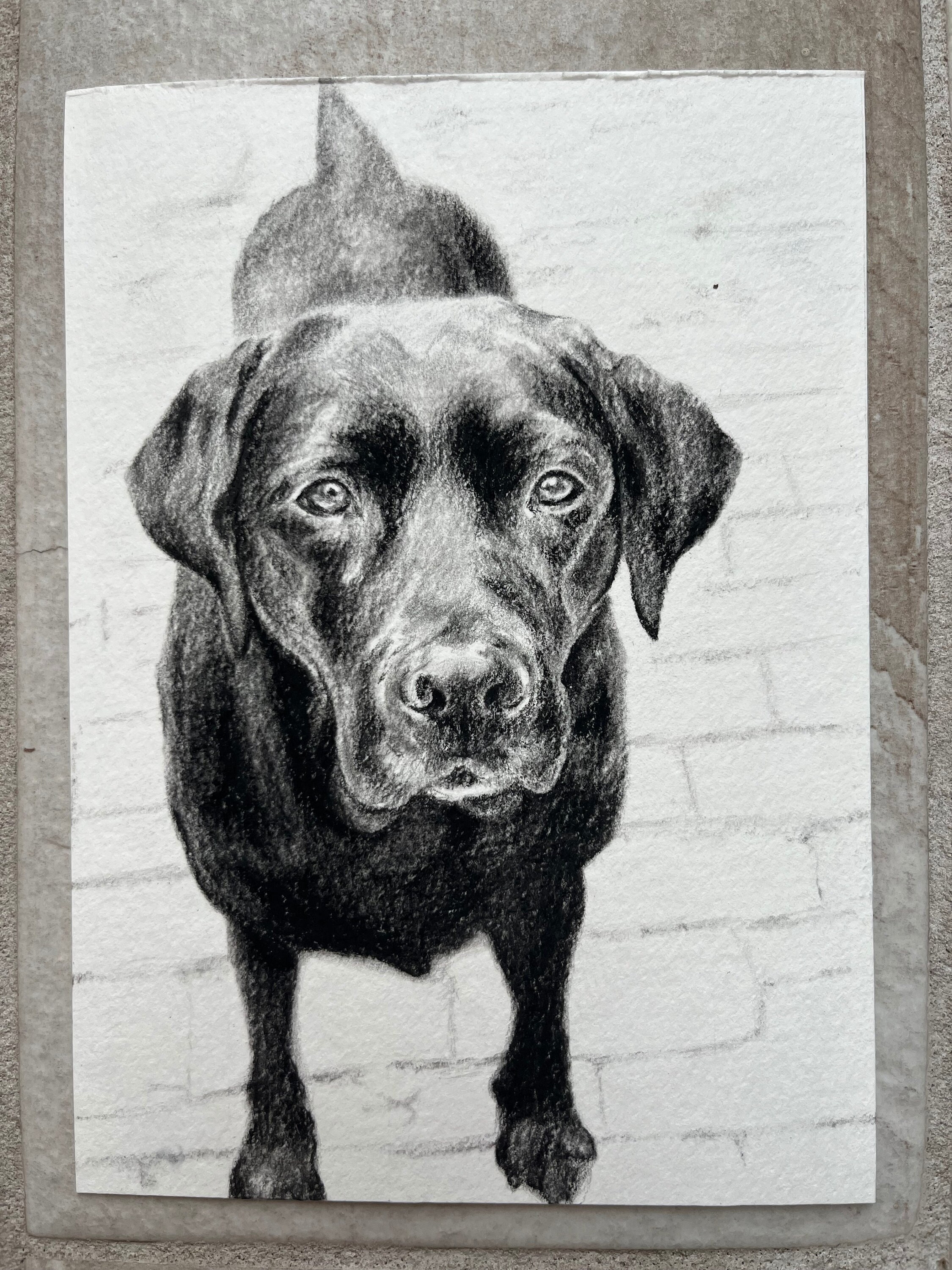 Custom Hand Drawn Pet Portrait in Charcoal and Graphite on Paper ...