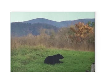 Tábua de corte de vidro Black Bear Meadow | Decoração de cozinha com paisagem de montanha