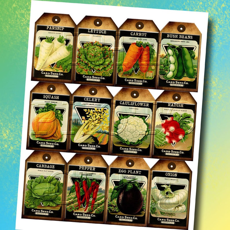 vegetable seed packets rustic vintage art tagslabels etsy