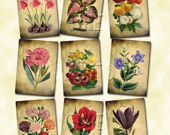 Botanical Vintage Art Hang/Gift Tags/Cards- INSTaNT DOWNLoAD- PRiMiTiVE Printable Collage Sheet JPG Digital File