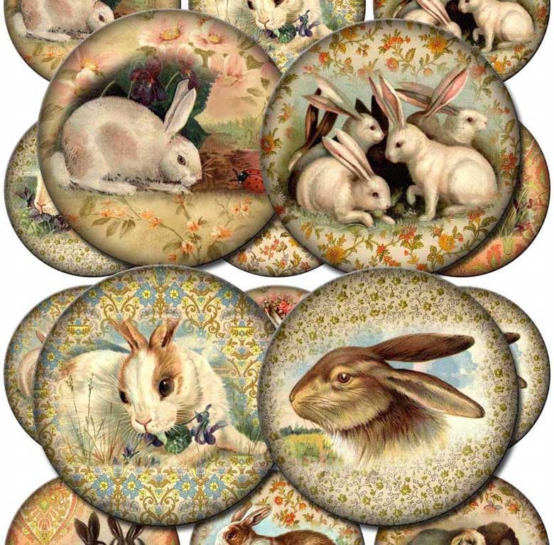 Bunny RABBIT Vintage Art 2.5 Inch Circles for Labels