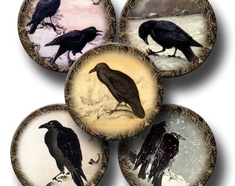 Crows Ravens Black Birds- 2.5 inch Primitive Vintage Art Circles- Printable Collage Sheet Download JPG Digital File