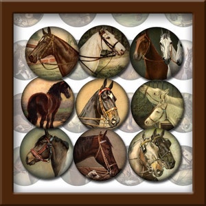 Chevaux 1" rond vintage art équin cercles-bouchon de bouteille bijoux fournitures-téléchargement instantané-collage imprimable feuille à télécharger JPG fichier numérique