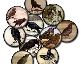 CROWs Ravens Black Birds- 2" Vintage Primitive Graphics Circles-INSTaNT DOWNLoAD- Printable Collage Sheet  JPG Digital File