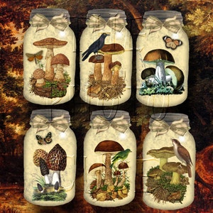 Jardin de champignons magiques dans un bocal - oeuvre d'art vintage à accrocher/étiquettes cadeaux/cartes - TÉLÉCHARGEMENT IMMÉDIAT - feuille de collage imprimable fichier numérique JPG