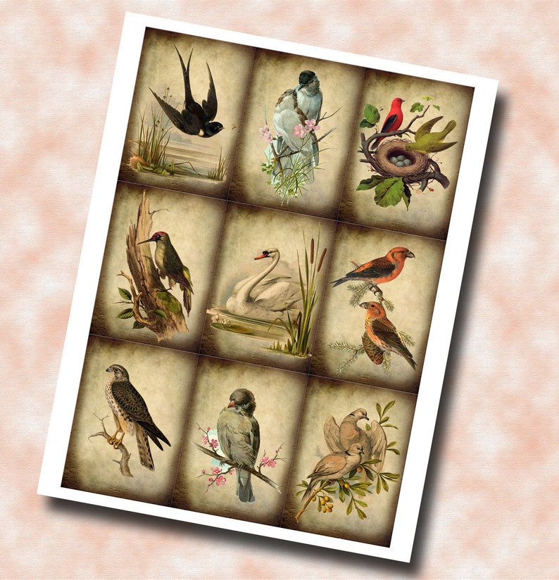 BIRDS In Nature PRiMiTiVe Romantic Vintage ArT TaGS/CaRDS INSTaNT DOWNLoAD Printable Collage Sheet Download JPG Digital File image 2