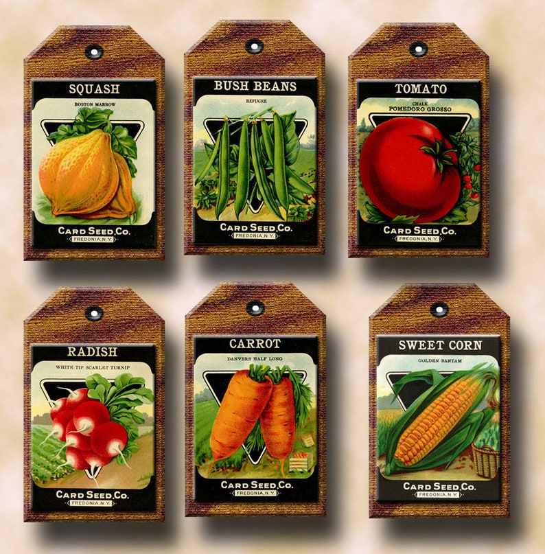 VeGeTaBLe SeeD PaCkETs Primitive ViNtAgE ArT Tags/Labels/Cards INSTaNT DOWNLoAD Printable Collage Sheet Download JPG Digital File image 1